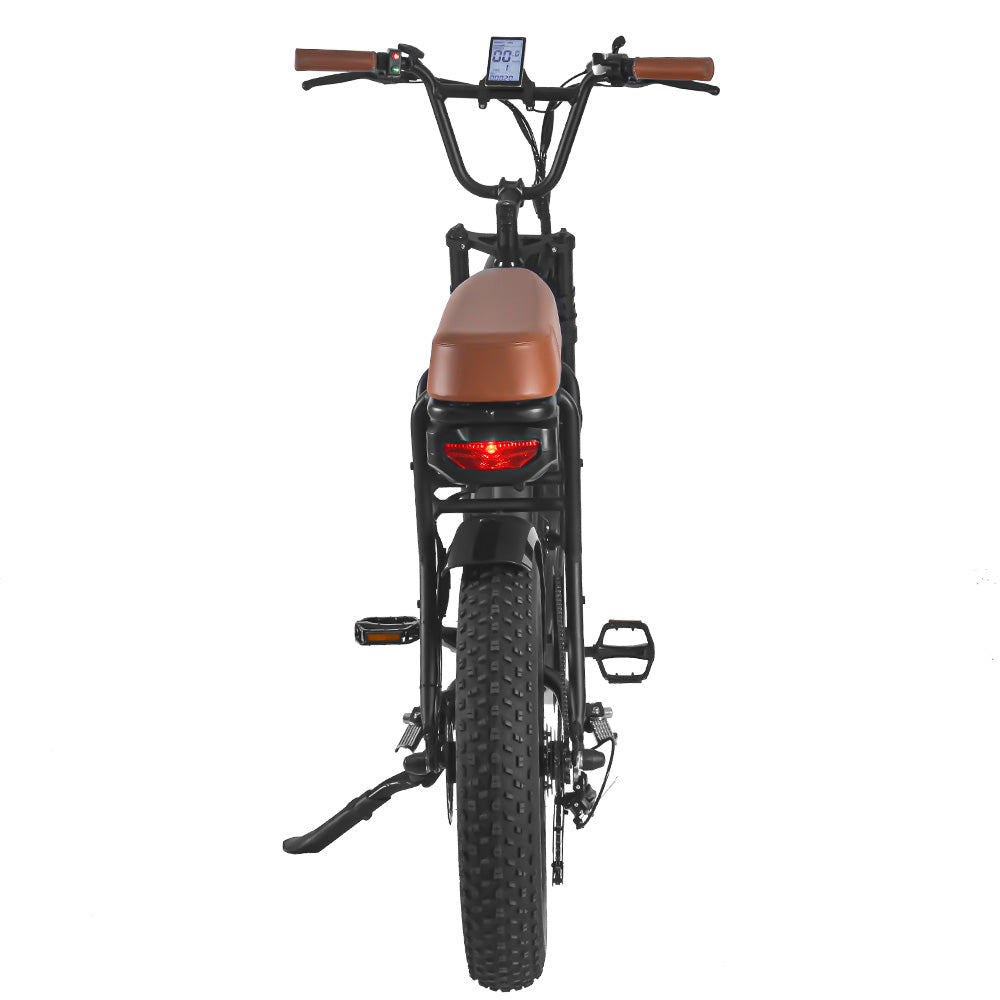 FXH-006 20*4.0 1000W Fat Tire Mountain Bicycle With Removable 48V 17.5/12.5AH Lithium-Ion Battery Double Disc-brake Electric Bike for Men and Woman
