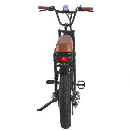 FXH-006 20*4.0 48V 350W Fat Tire Mountain Bicycle With Removable 48V 15.6AH Lithium-Ion Battery Double Disc-brake Electric Bike for Men and Woman