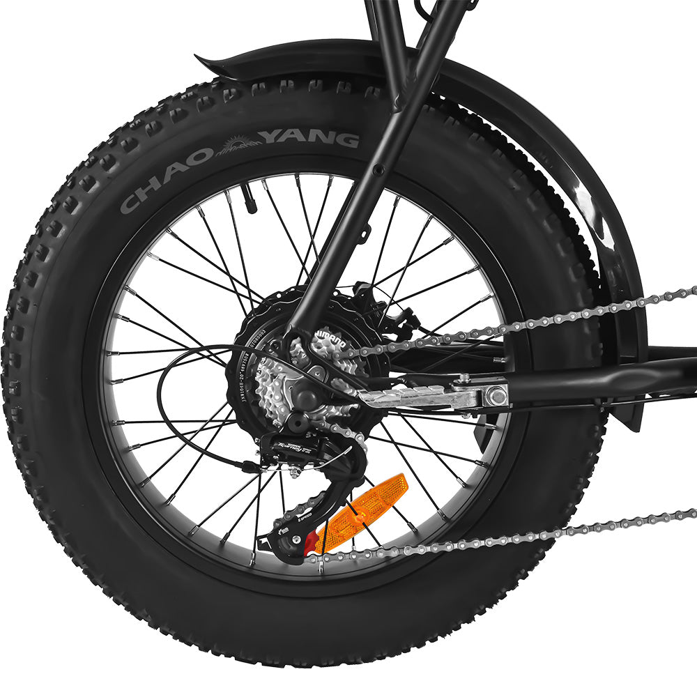 FXH-006 20*4.0 1000W Fat Tire Mountain Bicycle With Removable 48V 18.2AH Lithium-Ion Battery Double Disc-brake Electric Bike for Men and Woman