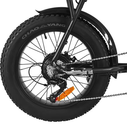 FXH-006 20*4.0 1000W Fat Tire Mountain Bicycle With Removable 48V 18.2AH Lithium-Ion Battery Double Disc-brake Electric Bike for Men and Woman