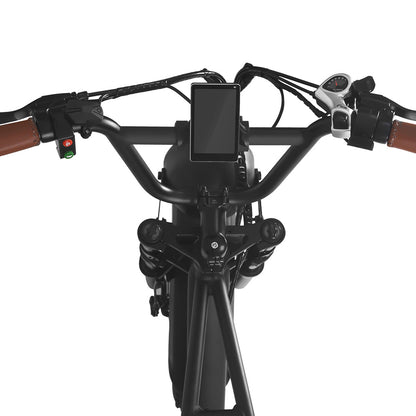 FXH-006 20*4.0 48V 350W Fat Tire Mountain Bicycle With Removable 48V 15.6AH Lithium-Ion Battery Double Disc-brake Electric Bike for Men and Woman