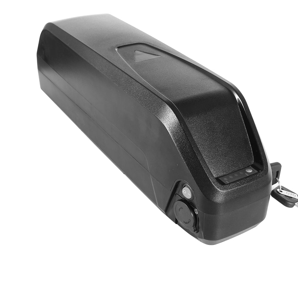 V8 EBike battery replacement 48V 20AH BMS50A ebike battery by 21700 LG5000mAh cells with 3A charger for 0-750W-1000W-1500W motor for ebike battery replacement【EU Stock】