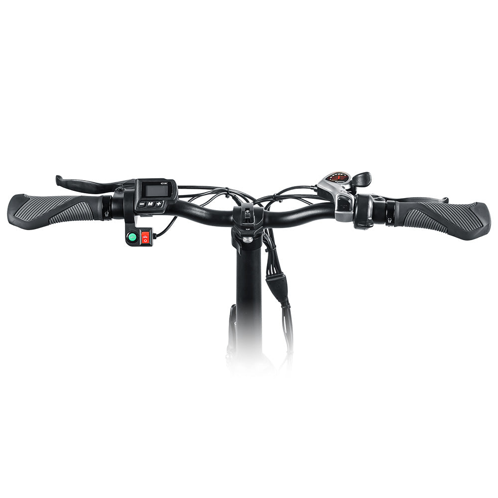 SK01 Folding E-Bike 250W Motor, Power Assist,4" Fat Tires, 20" Wheels, Removable 36V 15Ah Lithium Ion Battery, Dual Disc Brakes, 7-Speed SIS Shifting 
