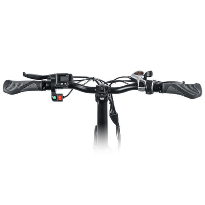 SK01 Folding E-Bike 250W Motor, Power Assist,4" Fat Tires, 20" Wheels, Removable 36V 15Ah Lithium Ion Battery, Dual Disc Brakes, 7-Speed SIS Shifting 