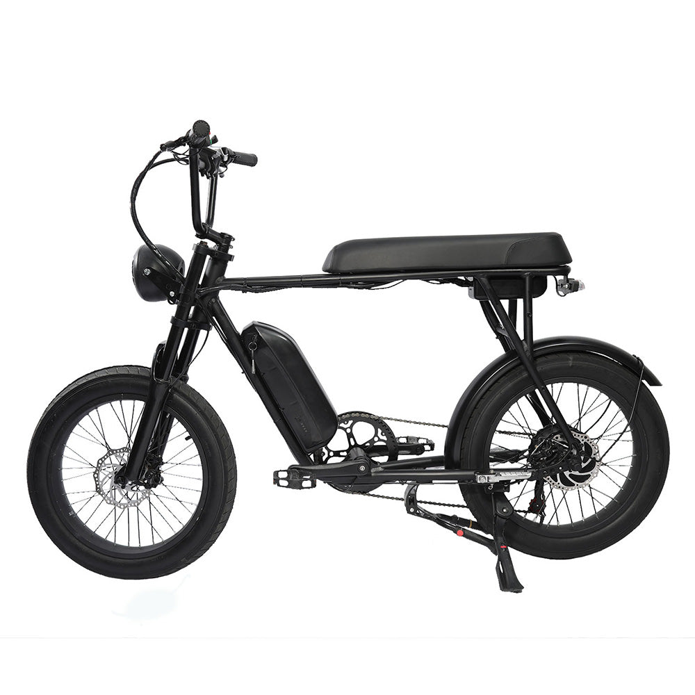 FXH-006 20*4.0 1000W Fat Tire Mountain Bicycle With Removable 48V 18.2AH Lithium-Ion Battery Double Disc-brake Electric Bike for Men and Woman