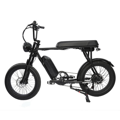 FXH-006 20*4.0 1000W Fat Tire Mountain Bicycle With Removable 48V 18.2AH Lithium-Ion Battery Double Disc-brake Electric Bike for Men and Woman