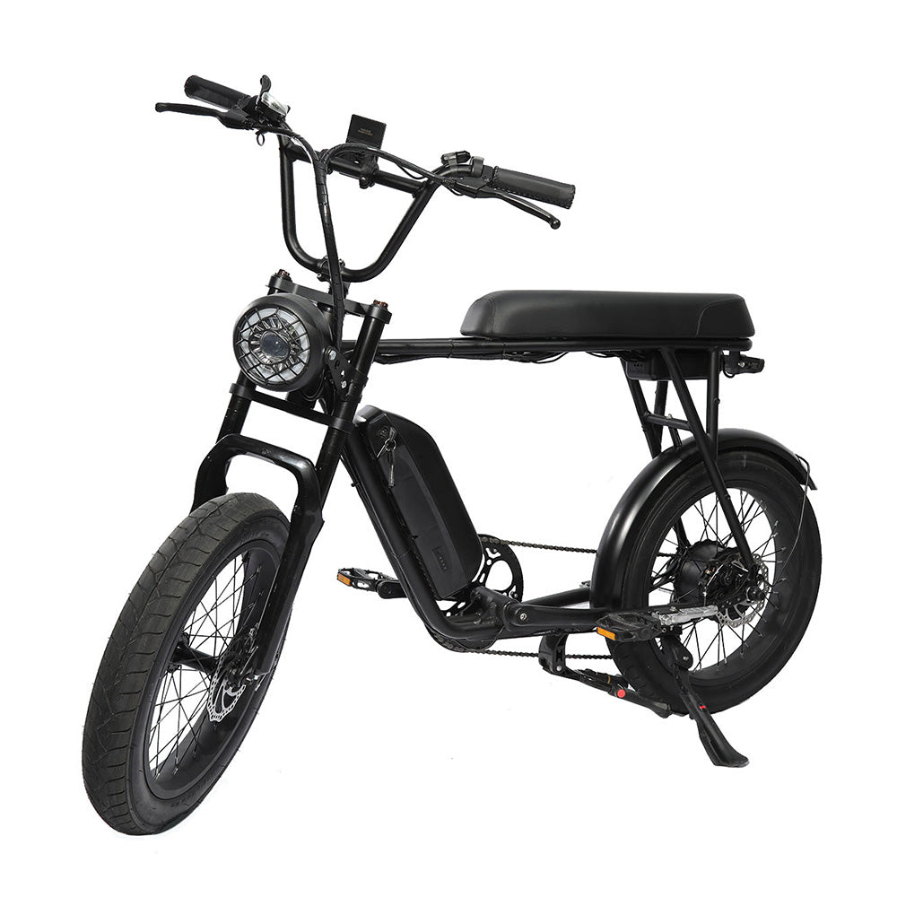 FXH-006 20*4.0 1000W Fat Tire Mountain Bicycle With Removable 48V 18.2AH Lithium-Ion Battery Double Disc-brake Electric Bike for Men and Woman