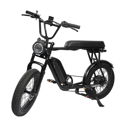 FXH-006 20*4.0 1000W Fat Tire Mountain Bicycle With Removable 48V 18.2AH Lithium-Ion Battery Double Disc-brake Electric Bike for Men and Woman