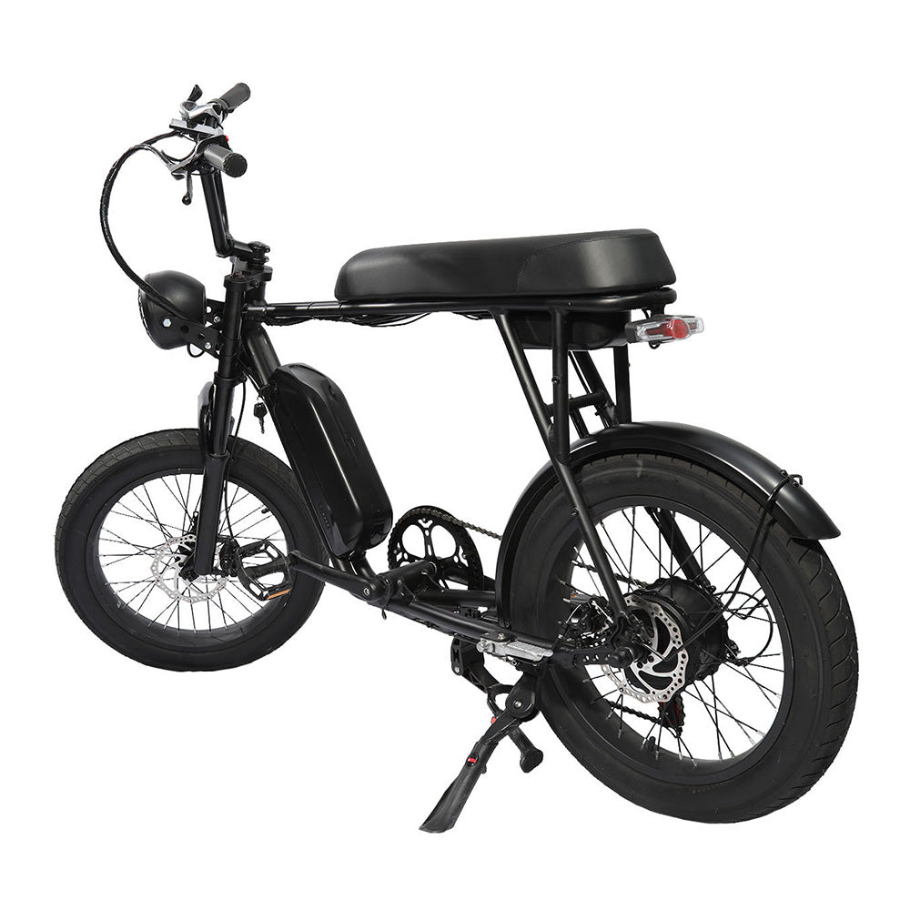 FXH-006 20*4.0 1000W Fat Tire Mountain Bicycle With Removable 48V 18.2AH Lithium-Ion Battery Double Disc-brake Electric Bike for Men and Woman