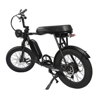 FXH-006 20*4.0 1000W Fat Tire Mountain Bicycle With Removable 48V 18.2AH Lithium-Ion Battery Double Disc-brake Electric Bike for Men and Woman