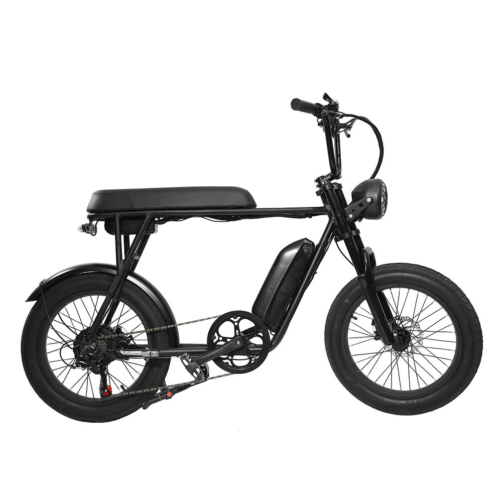FXH-006 20*4.0 1000W Fat Tire Mountain Bicycle With Removable 48V 18.2AH Lithium-Ion Battery Double Disc-brake Electric Bike for Men and Woman