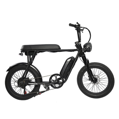 FXH-006 20*4.0 1000W Fat Tire Mountain Bicycle With Removable 48V 18.2AH Lithium-Ion Battery Double Disc-brake Electric Bike for Men and Woman