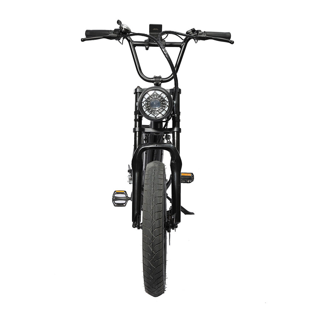 FXH-006 20*4.0 1000W Fat Tire Mountain Bicycle With Removable 48V 18.2AH Lithium-Ion Battery Double Disc-brake Electric Bike for Men and Woman