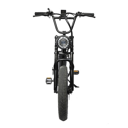 FXH-006 20*4.0 1000W Fat Tire Mountain Bicycle With Removable 48V 18.2AH Lithium-Ion Battery Double Disc-brake Electric Bike for Men and Woman