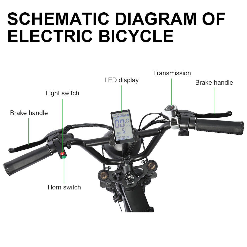 FXH-006 20*4.0 1000W Fat Tire Mountain Bicycle With Removable 48V 18.2AH Lithium-Ion Battery Double Disc-brake Electric Bike for Men and Woman