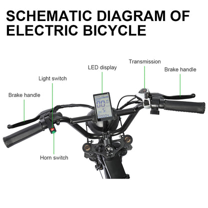 FXH-006 20*4.0 1000W Fat Tire Mountain Bicycle With Removable 48V 18.2AH Lithium-Ion Battery Double Disc-brake Electric Bike for Men and Woman