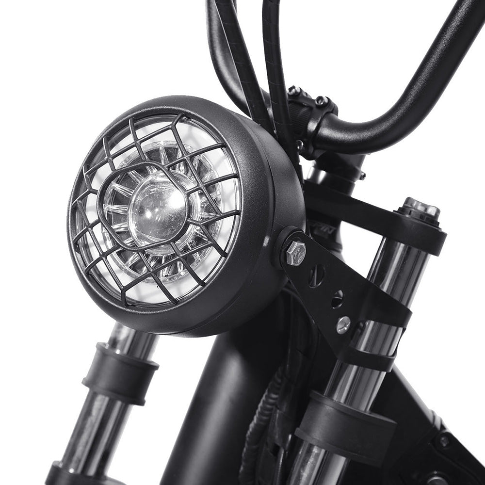 FXH-006 20*4.0 1000W Fat Tire Mountain Bicycle With Removable 48V 18.2AH Lithium-Ion Battery Double Disc-brake Electric Bike for Men and Woman